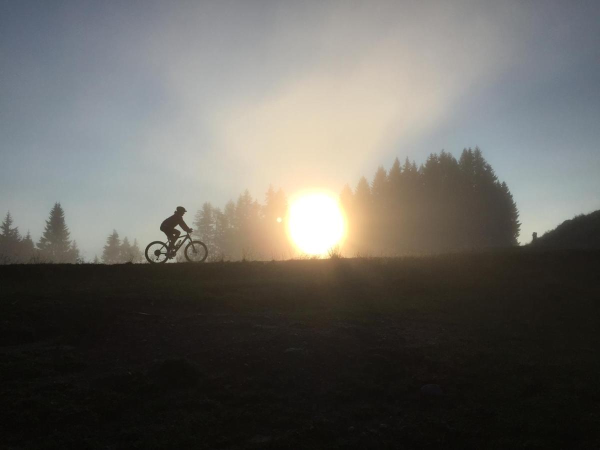 Ferienwohnungen Forellenhof Waldner Gundersheim Екстер'єр фото